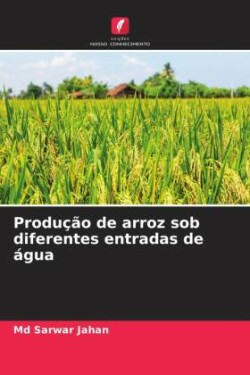 Produção de arroz sob diferentes entradas de água