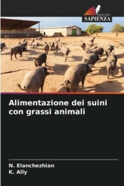 Alimentazione dei suini con grassi animali