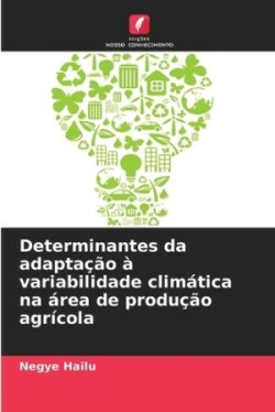 Determinantes da adaptação à variabilidade climática na área de produção agrícola