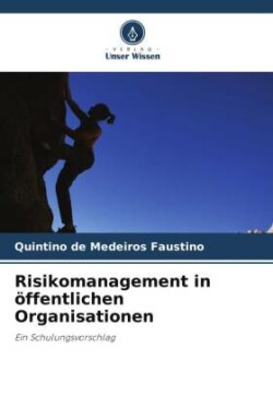 Risikomanagement in öffentlichen Organisationen