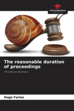 reasonable duration of proceedings