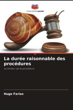 durée raisonnable des procédures