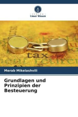 Grundlagen und Prinzipien der Besteuerung