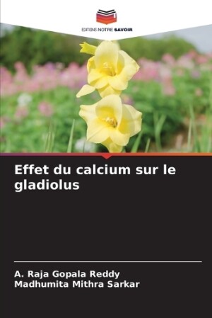 Effet du calcium sur le gladiolus