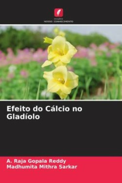 Efeito do Cálcio no Gladíolo