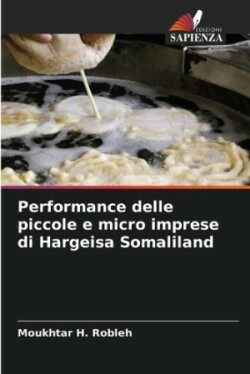 Performance delle piccole e micro imprese di Hargeisa Somaliland