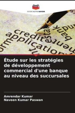 Étude sur les stratégies de développement commercial d'une banque au niveau des succursales