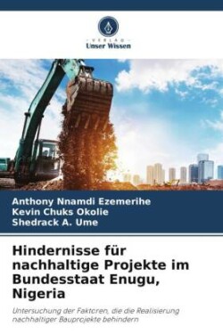 Hindernisse für nachhaltige Projekte im Bundesstaat Enugu, Nigeria