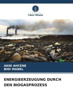 Energieerzeugung Durch Den Biogasprozess