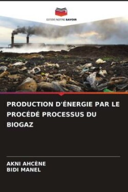 Production d'Énergie Par Le Procédé Processus Du Biogaz