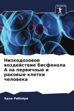 Nizkodozowoe wozdejstwie bisfenola A na perwichnye i rakowye kletki cheloweka