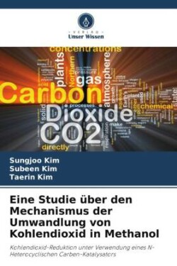 Eine Studie über den Mechanismus der Umwandlung von Kohlendioxid in Methanol