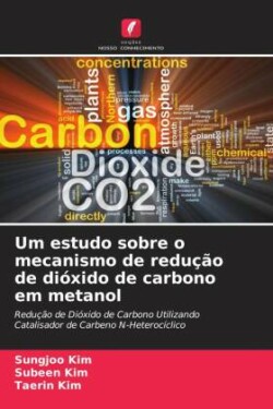 Um estudo sobre o mecanismo de redução de dióxido de carbono em metanol