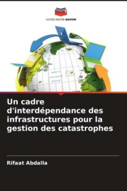 cadre d'interdépendance des infrastructures pour la gestion des catastrophes