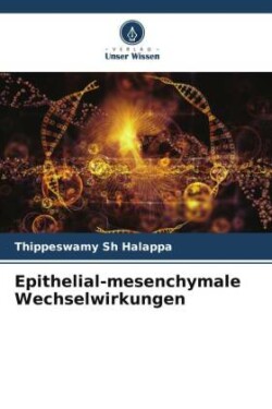 Epithelial-mesenchymale Wechselwirkungen