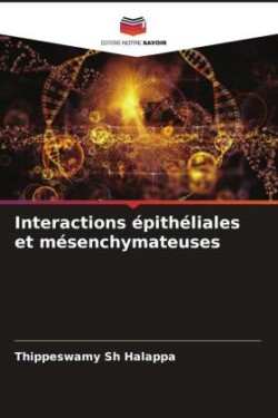 Interactions épithéliales et mésenchymateuses