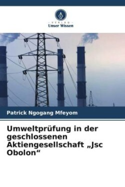 Umweltprüfung in der geschlossenen Aktiengesellschaft "Jsc Obolon"