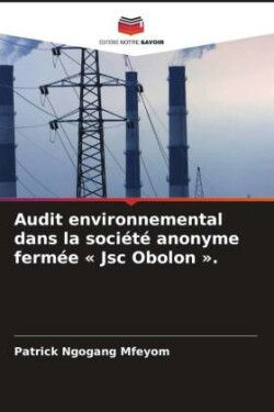 Audit environnemental dans la société anonyme fermée Jsc Obolon .