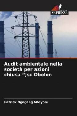 Audit ambientale nella società per azioni chiusa "Jsc Obolon