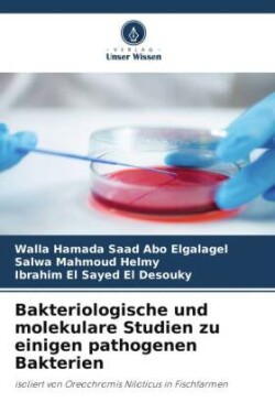 Bakteriologische und molekulare Studien zu einigen pathogenen Bakterien