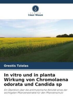 In vitro und in planta Wirkung von Chromolaena odorata und Candida sp