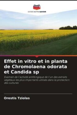 Effet in vitro et in planta de Chromolaena odorata et Candida sp