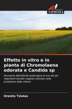 Effetto in vitro e in pianta di Chromolaena odorata e Candida sp