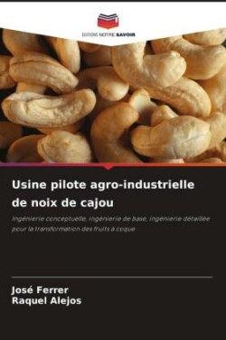 Usine pilote agro-industrielle de noix de cajou