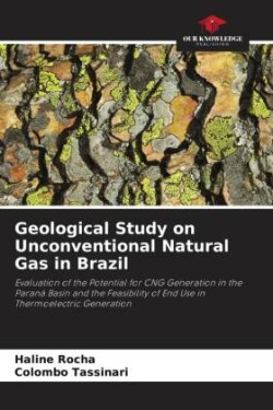 Geological Study on Unconventional Natural Gas in Brazil