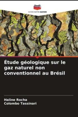 Étude géologique sur le gaz naturel non conventionnel au Brésil