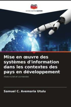 Mise en oeuvre des systèmes d'information dans les contextes des pays en développement