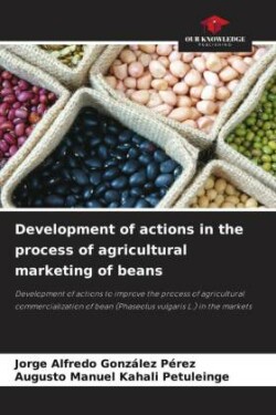 Development of actions in the process of agricultural marketing of beans