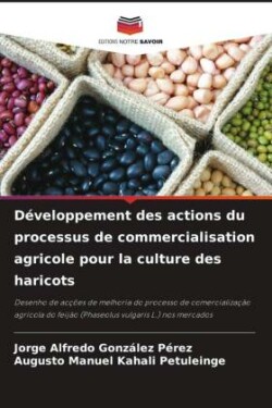 Développement des actions du processus de commercialisation agricole pour la culture des haricots