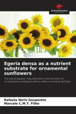 Egeria densa as a nutrient substrate for ornamental sunflowers