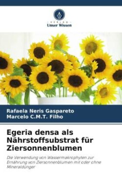 Egeria densa als Nährstoffsubstrat für Ziersonnenblumen