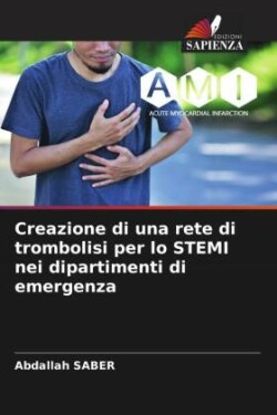 Creazione di una rete di trombolisi per lo STEMI nei dipartimenti di emergenza