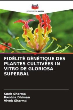 Fidélité Génétique Des Plantes Cultivées in Vitro de Gloriosa Superbal