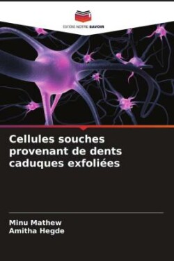 Cellules souches provenant de dents caduques exfoliées