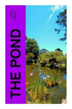 The Pond