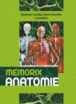 Memorix Anatomy  2.vydání