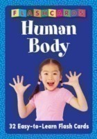 Human Body - Flash Cards