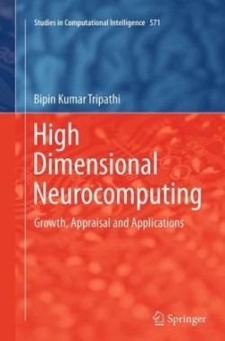 High Dimensional Neurocomputing