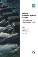 Indirect Economic Impacts of Dams