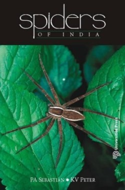 Spiders of India