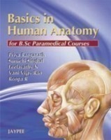 Basics in Human Anatomy