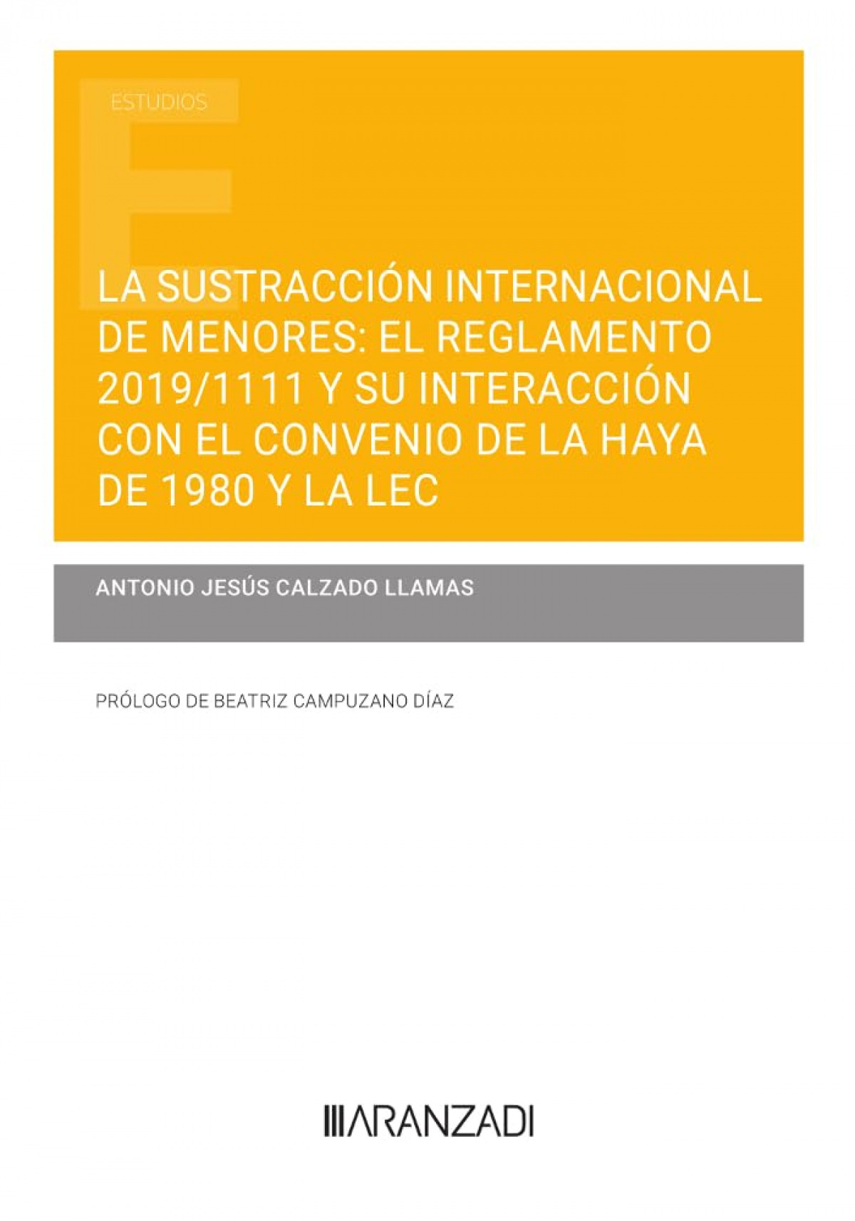 La sustracción internacional de menores: el Reglamento 2019/1111 y su interacción con el Convenio de La Haya de 1980 y la LEC (Papel + e-book)
