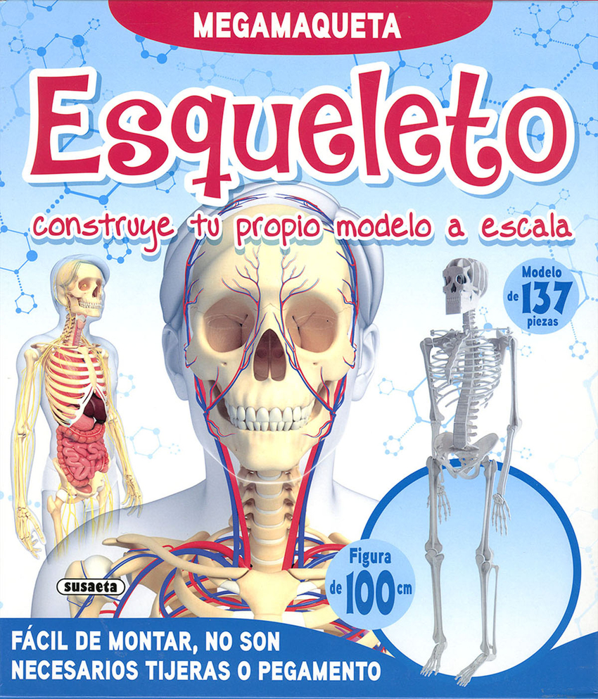 Esqueleto