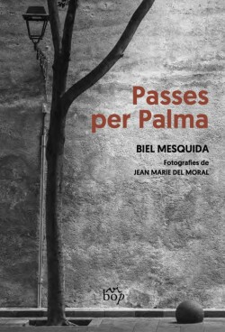 Passes per Palma