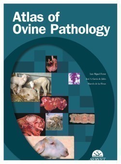 Atlas of Bovine Pathology