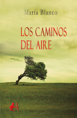 LOS CAMINOS DEL AIRE